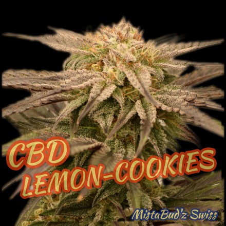 Lemon Cookies V.2022