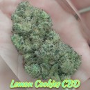 Lemon Cookies V.2022