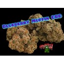 Blueberry Muffin Indoor CBD