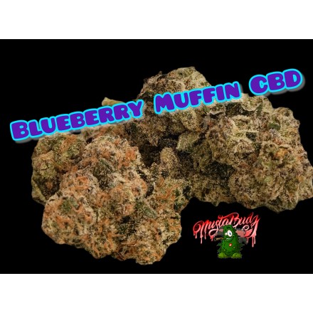 Blueberry Muffin Indoor CBD
